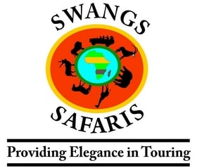 Swangs Safaris